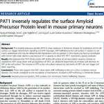 PAT1 inversely regulates the surface Amyloid Precursor Protein level in mouse primary neurons