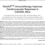 Notch3ECD Immunotherapy Improves Cerebrovascular Responses in CADASIL Mice